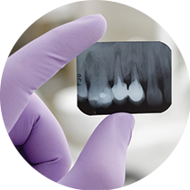 Endodontia